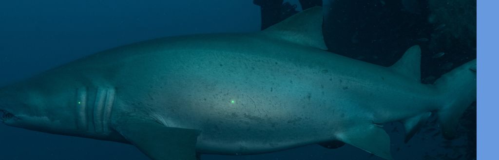 c2d1670b-9112-439f-bb87-3aed71471a37