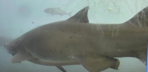 91c94482-016c-494d-bdbf-8eb0e75a38c8