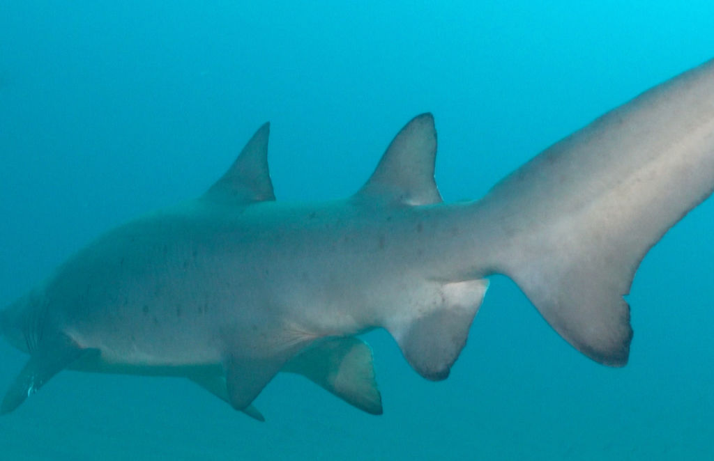 67d36b6c-92f1-4cf5-9426-1afd4e89f961