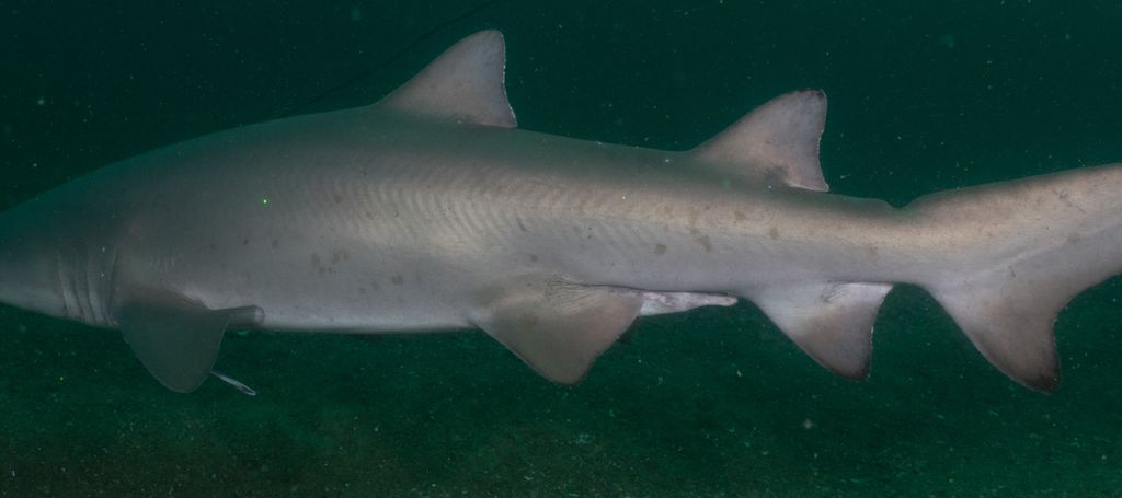 12979c95-acaf-40f3-a872-5b3aa72bc85b