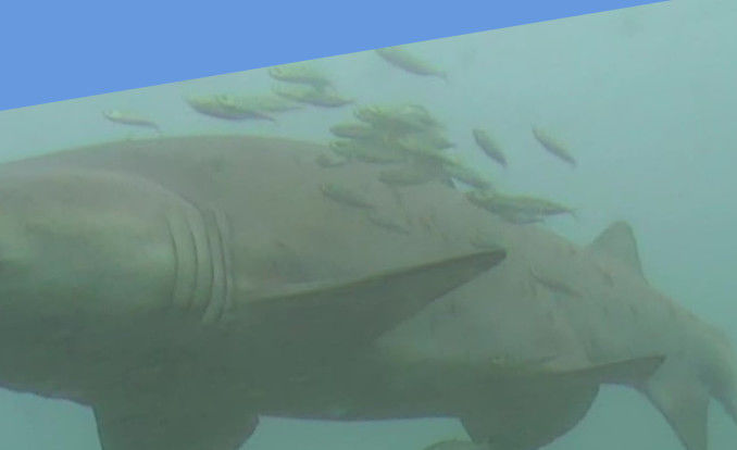 6004c71c-b45f-4a5c-a0e9-39ef2c7289f5