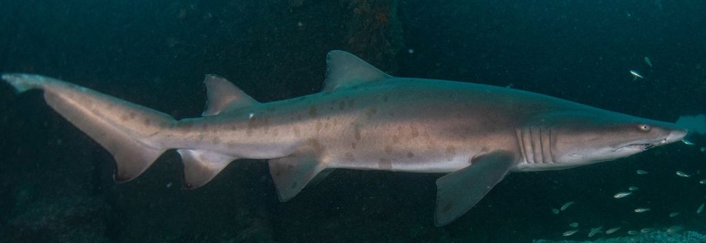 febc6572-35af-4dc8-af9c-6146d8f4ebd2