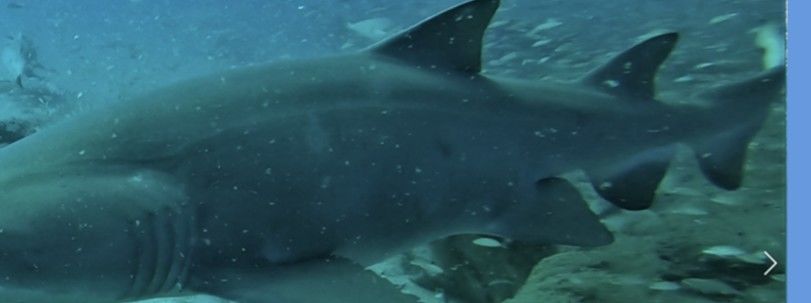 525afa4e-b3a6-43e9-bbbe-77a1db54cccf