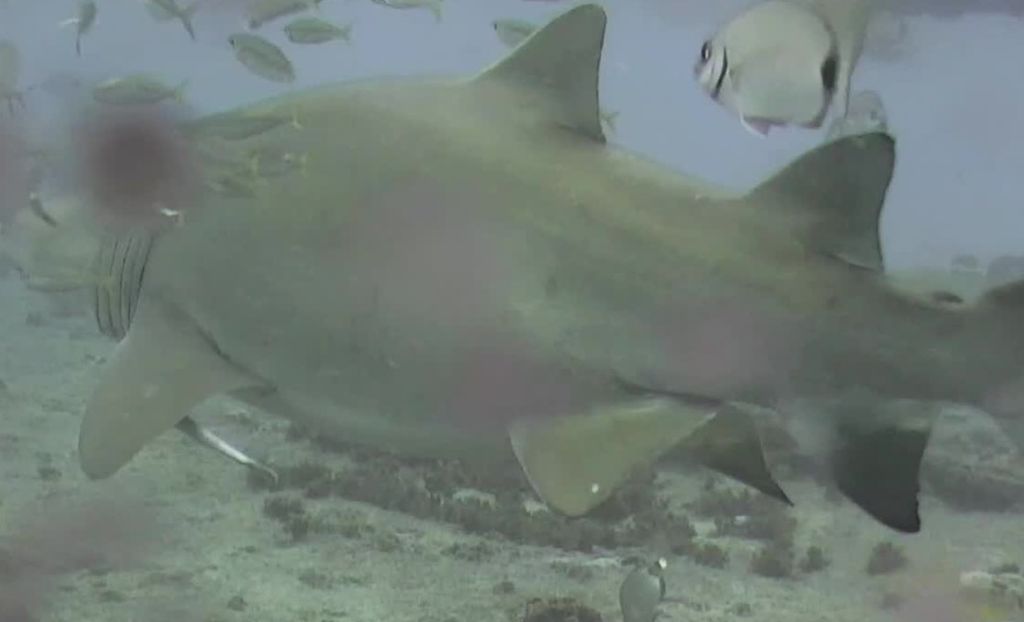 6e733470-010b-4bdb-a4de-6a6c0034dfaf