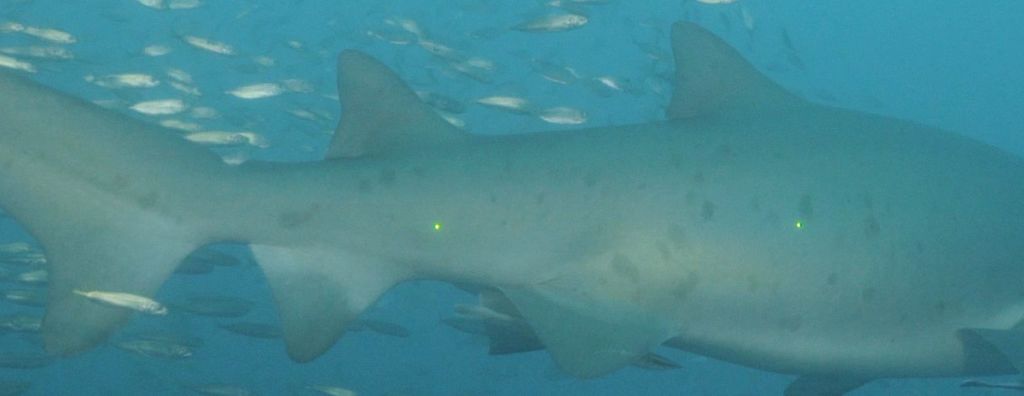 d6a4a3dc-4d09-46b6-afd5-24ae9d7c17e1