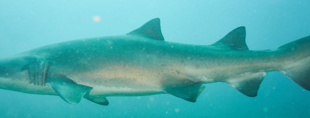 a3e6785d-3bec-408a-8477-fd561e3c23e1