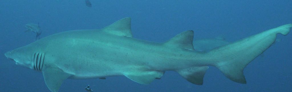 07f71cbb-6ba4-4ee2-a18c-ecda1816294e