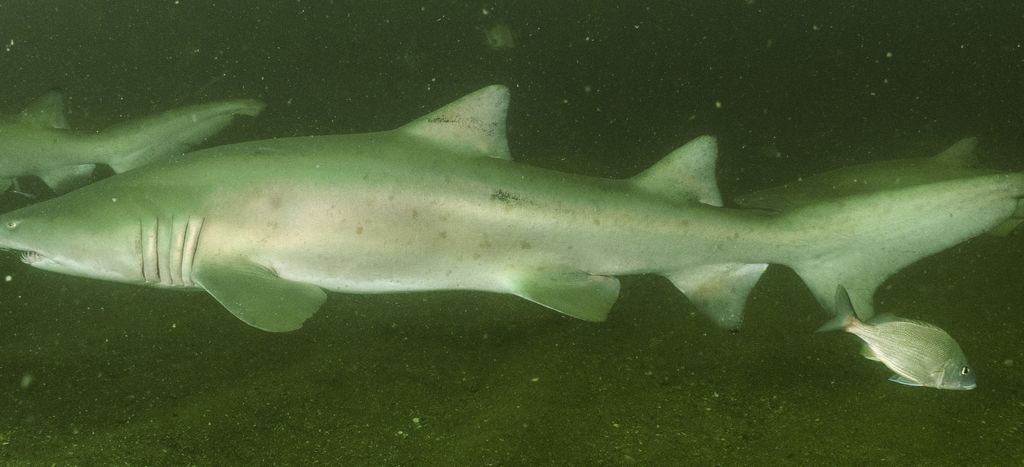 59237119-1447-4de6-9b92-4a8e27113de2