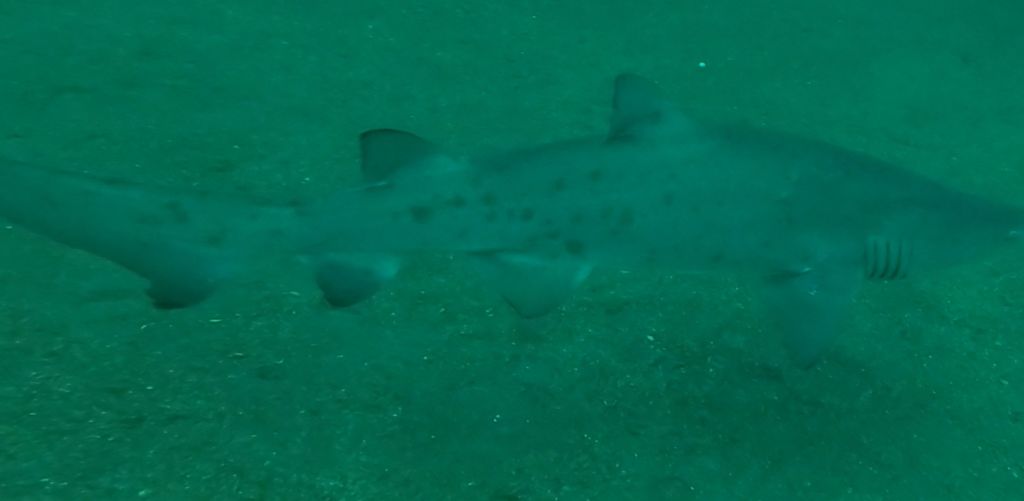 0b998ccd-ee05-4b90-925b-0e5d28b461c8