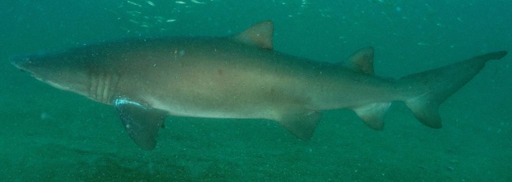 4edf98d5-4ac3-42e4-8c43-8769412fcdca