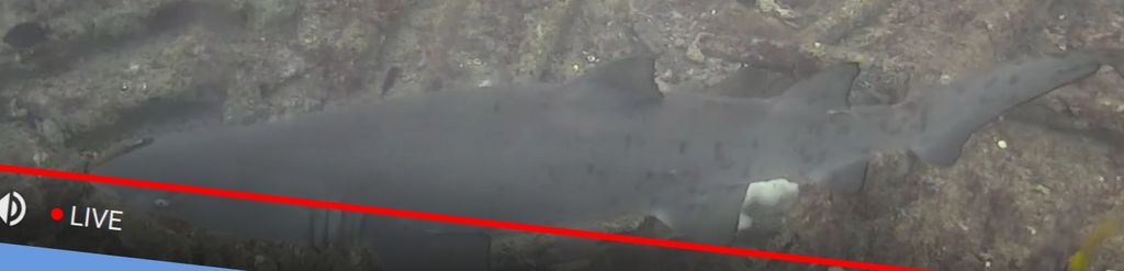 876374b1-46b4-451b-961e-078deb24ae2b