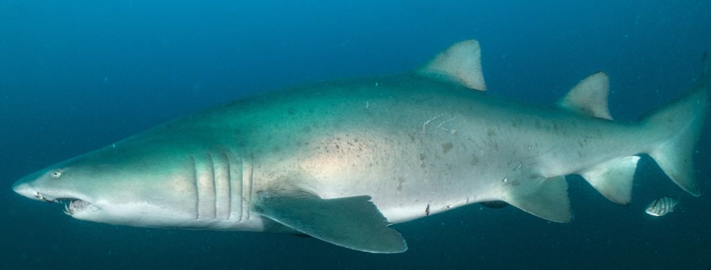 78a4fce0-f617-43f5-9175-257235e62789