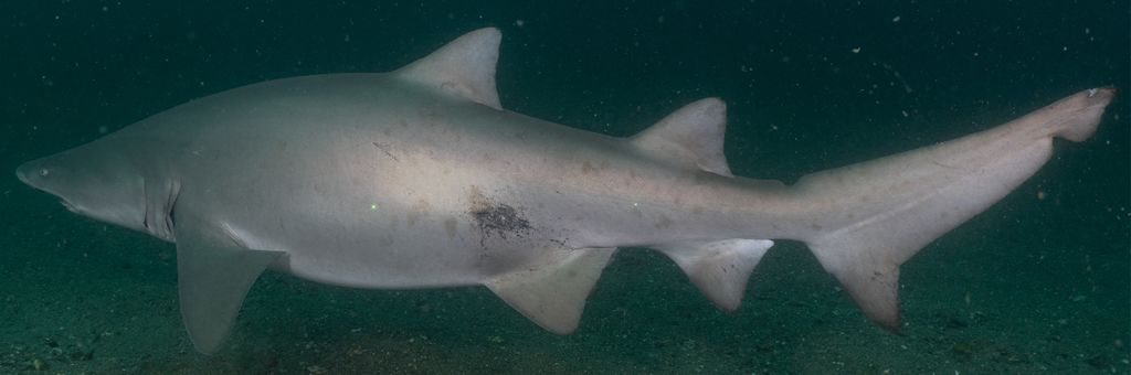 c6dbe331-f1be-4938-ab0f-4789b518e911