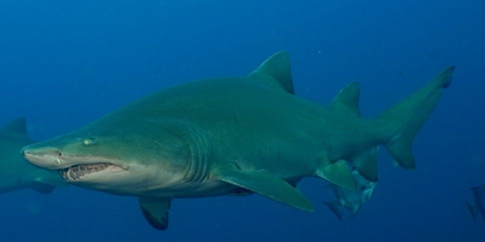 4bd21d61-7bca-437f-b74b-2ac1e36f3615