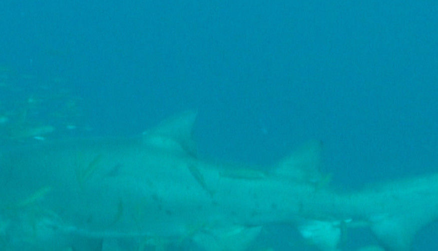 ebf6e92e-d25a-4ea9-942a-5bbe3155cac9