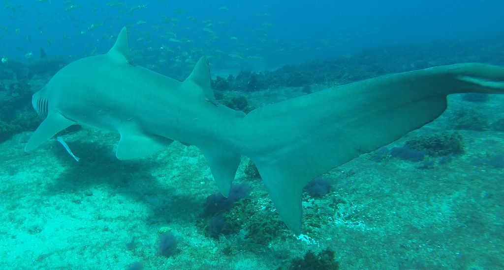 19054536-ae76-48df-89e4-77be71afe07d