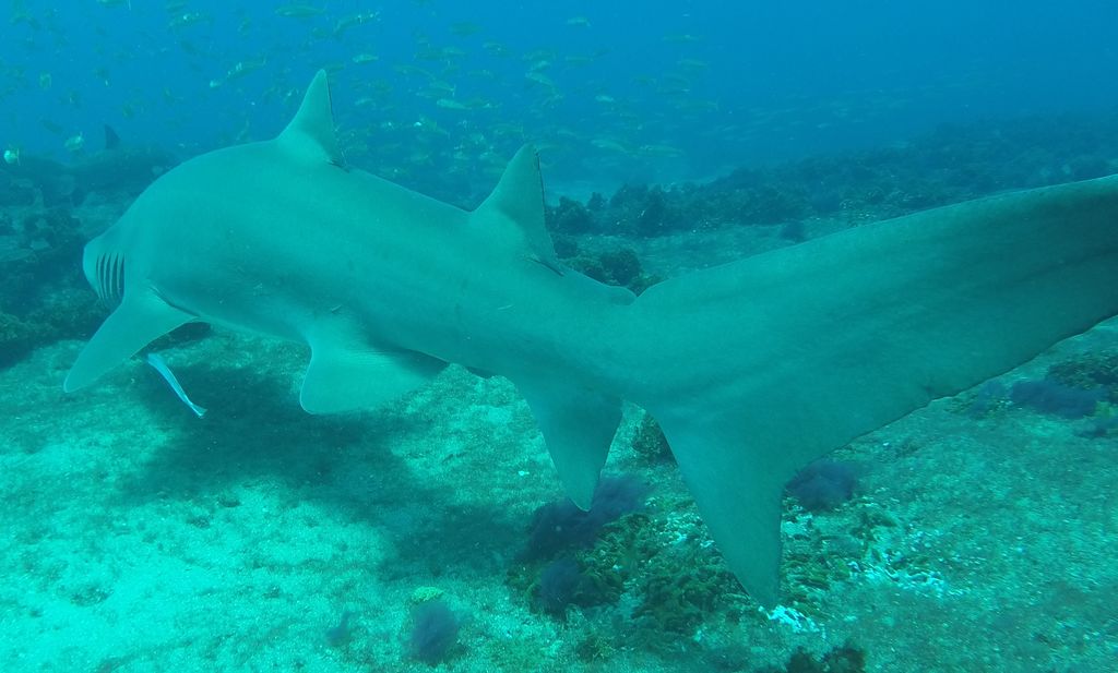 19054536-ae76-48df-89e4-77be71afe07d