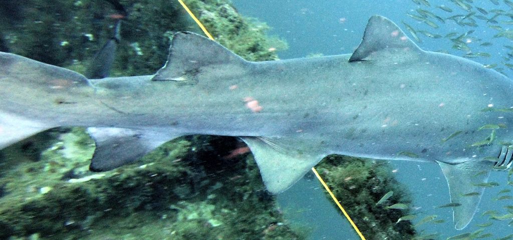 e67b02ea-4625-402a-9543-adc51f2e89c8