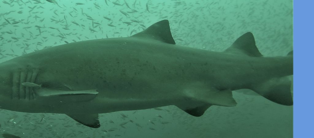 1de294e5-f45b-43f0-b404-e5b7f274e0eb