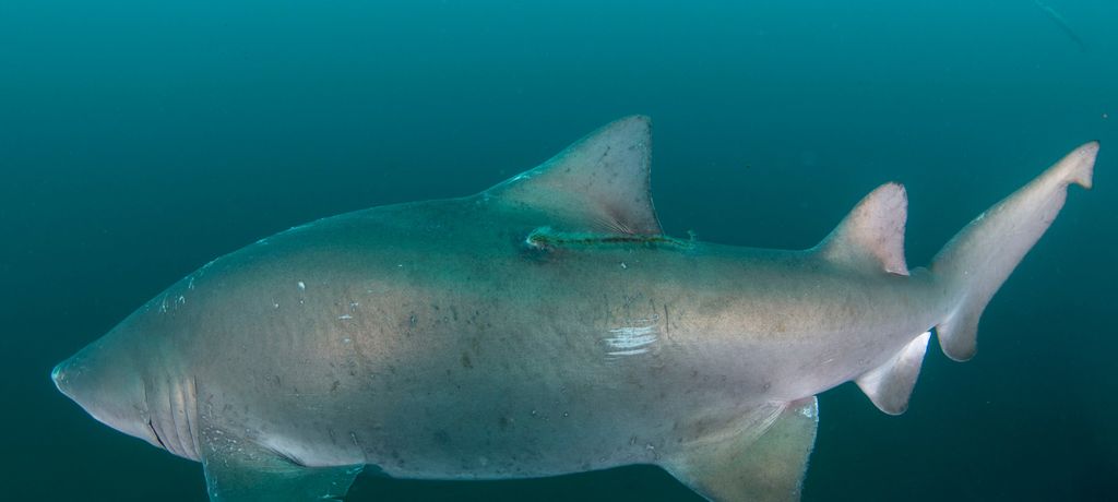 ee324b2e-32a5-4ddb-8673-dd6ce76ca9b4