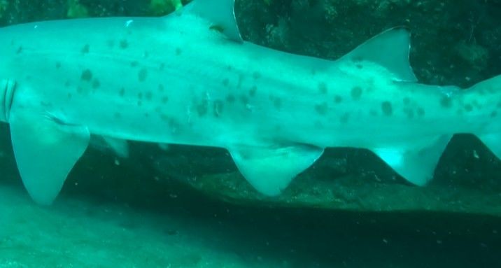 05fda672-1b1b-43d9-8d2d-f7ac985a8434