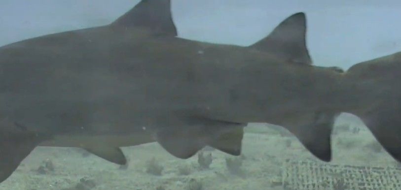 9b4f700c-c705-4bc8-9fc3-33a150152554