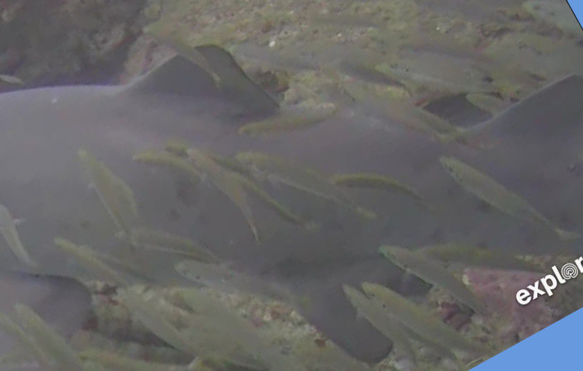 d465aa1c-4823-43af-bd96-2b8c5451790c