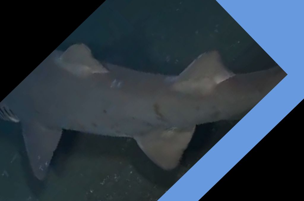 e2861bff-ba9b-4ab2-999a-6ae0182cf949