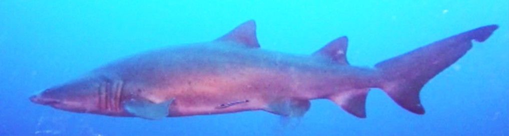 39bf22e6-cd63-4e53-830a-795cd0177733