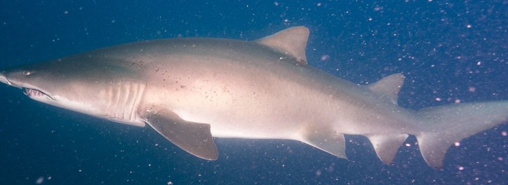 7338a090-cbb7-4da4-a3a8-ae3a75067fed