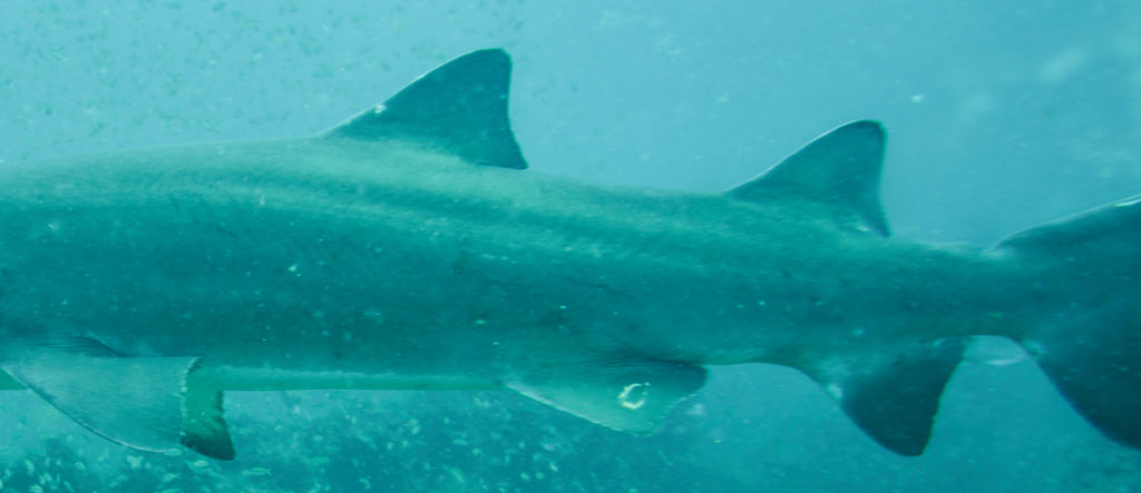 f5e5e839-a0ea-4893-8373-4e9b0b341dff