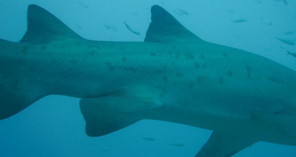 4d4a902f-3b6f-4e14-9dea-4b4c486977f9