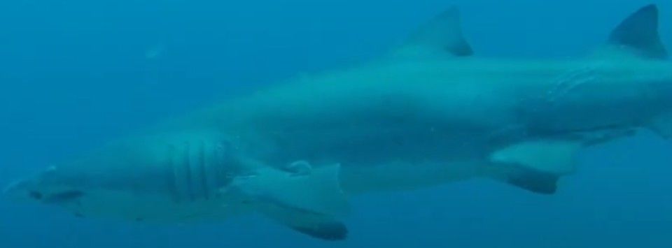 fc64979e-71cd-48c3-ae33-01d87b5c642a