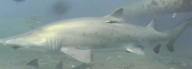 320d2d61-c223-4acd-a3c2-5d5e486fffd8