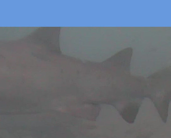 0371442b-3e57-486a-9f12-ad2614784f3f