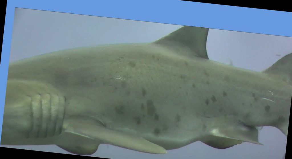 5a9dcceb-1d25-4b26-a1c1-9a0bc2d80c39