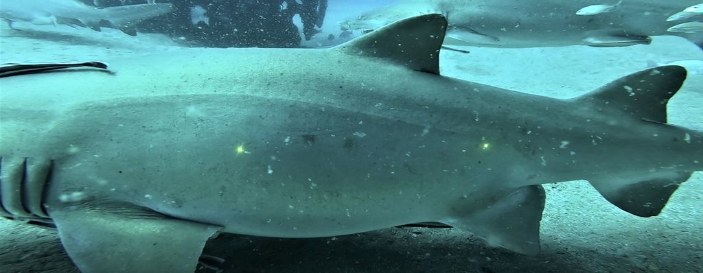 19b41617-43ea-430d-b86f-a2a4149514a6