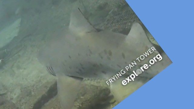 66c2c7d4-febc-4e83-87ae-da204c3aa0b9