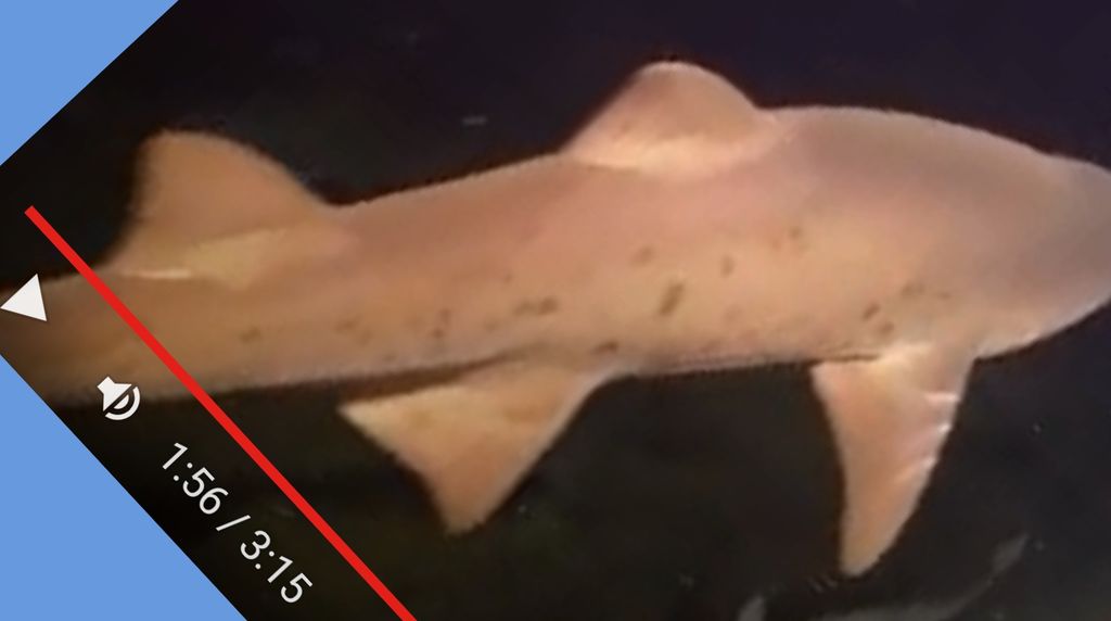 bf077f49-8aca-4f0e-bec6-80acd562f9f1