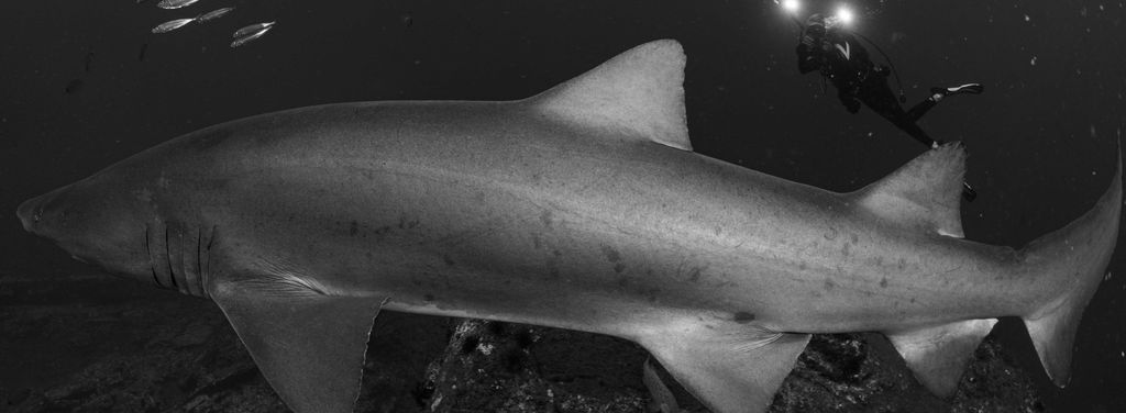 7f0c6d29-06f2-44df-bd9b-316feceb5372