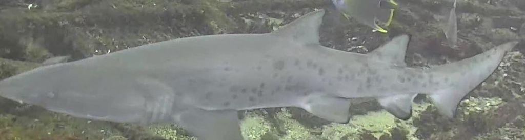 bca62b11-3538-4902-b5d0-526b7a3e3571