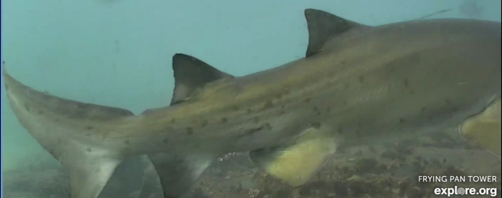 f72a0f88-c18d-4d86-a9b5-49986ac41467