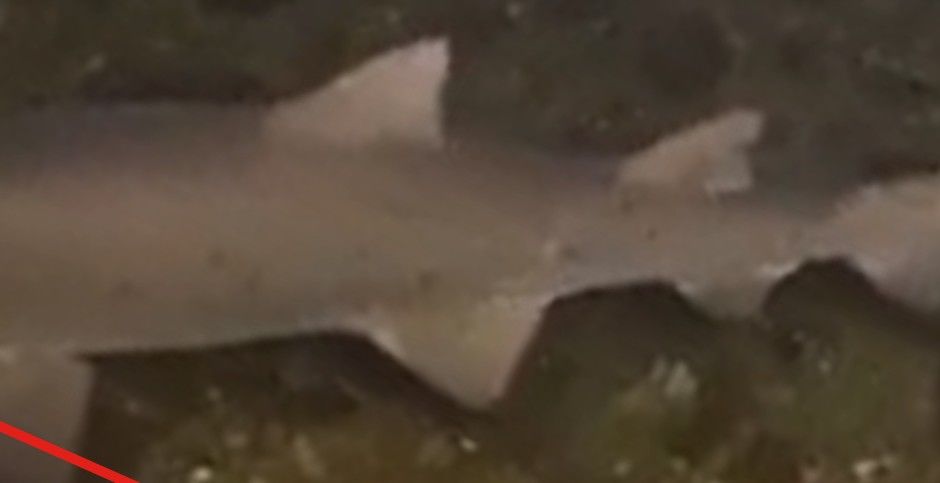 54234972-8003-47e4-a535-f48f15714ee6