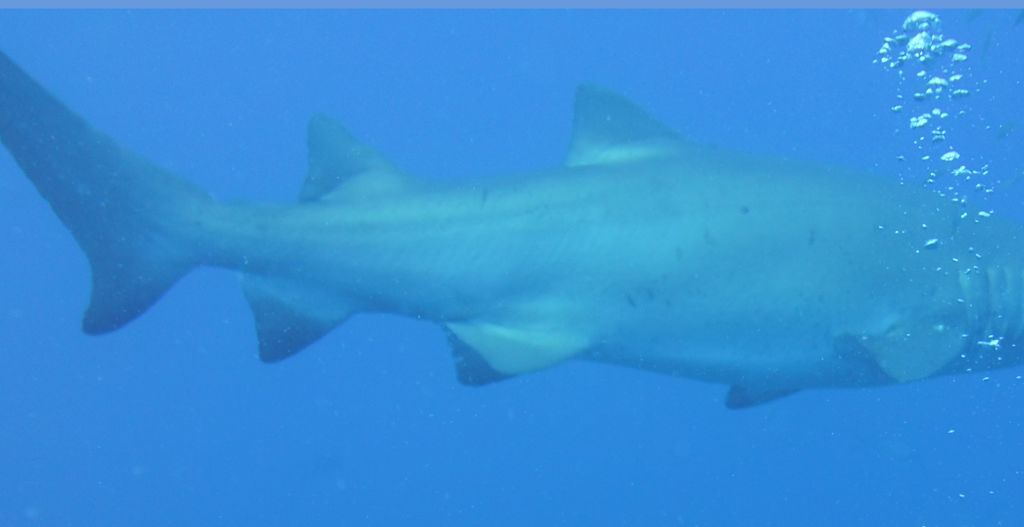 87a15e63-264f-4fed-b53c-bdbcedd6c860