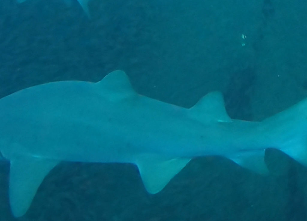 fa83ab4f-8ffb-40f0-9578-13cd9a2a1885