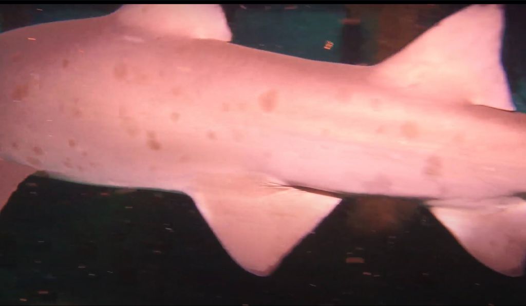 e0851279-5939-428e-86a2-0095d45ee87c