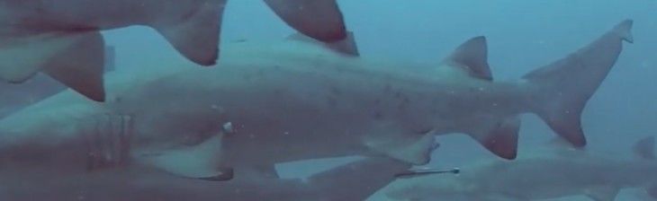 87426962-4308-4d58-ad39-6848db354c9d