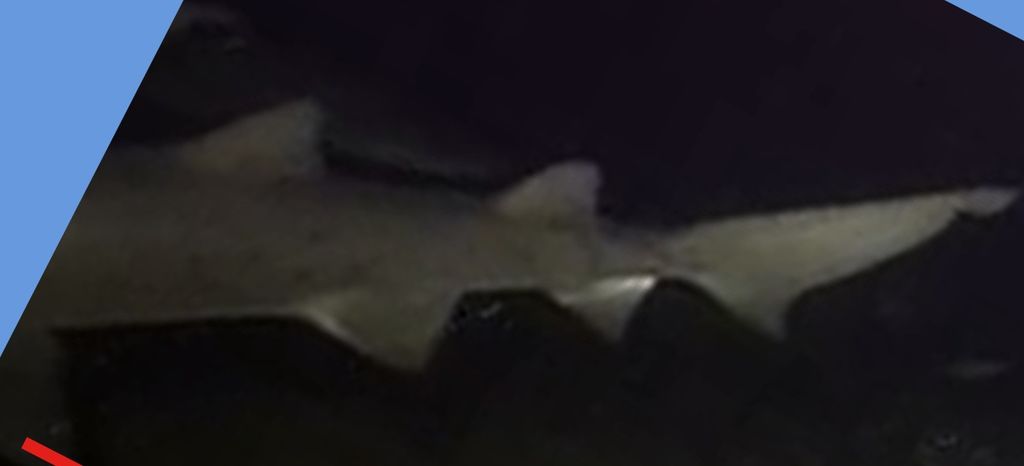 c1e966a5-0f87-4f9d-a76c-38d5b0d96c6e