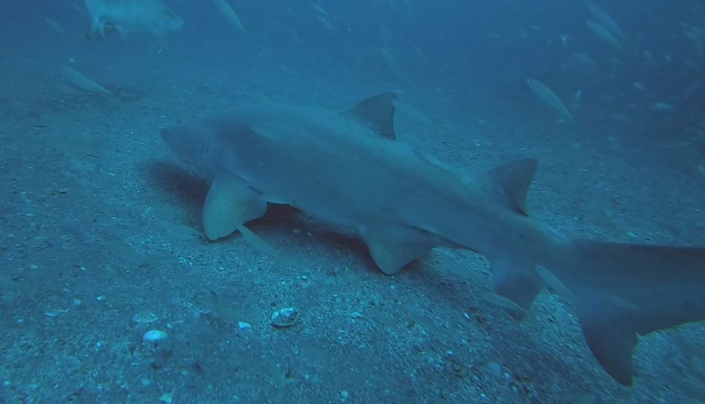 635b6748-f9a7-4ea3-8c26-8e68c55916dd