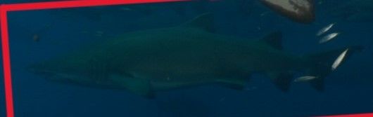 bb3da72c-90b5-4140-b1b6-a419f6a35597